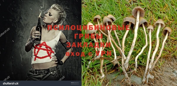 гашишное масло Балахна